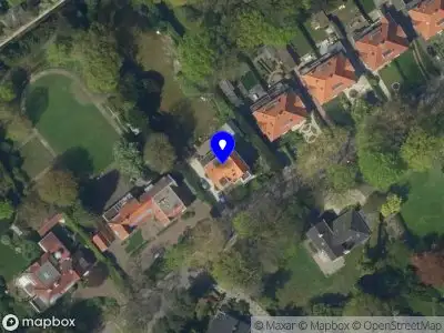 Bee Connected Leadership Baarn