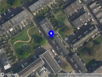 New Adam Schoonmaker