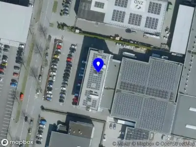 Humpback Whale B.V. Eindhoven