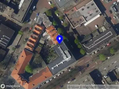 Tashii’s freelance