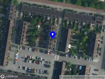 Nieuw bedrijf Gray Cat