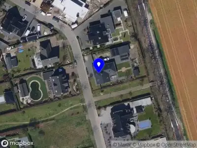 Ozweega ST. WILLEBRORD