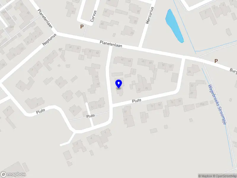 Nieuw bedrijf Rose Box