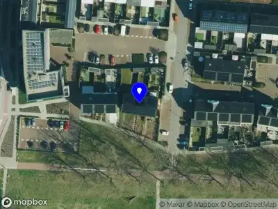 Nieuw bedrijf Bellibae