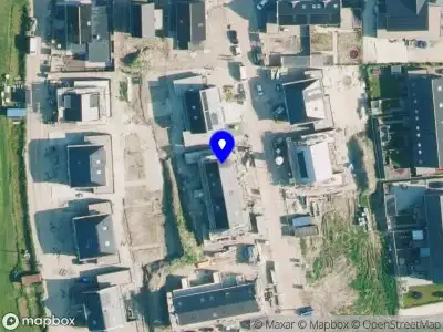 Petra Duin- Programmamanagement & Advies