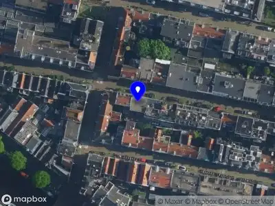 The Daily Dala Amsterdam