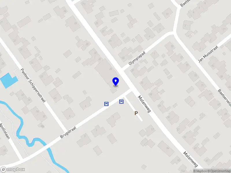 Nieuw bedrijf Eliza Triepels