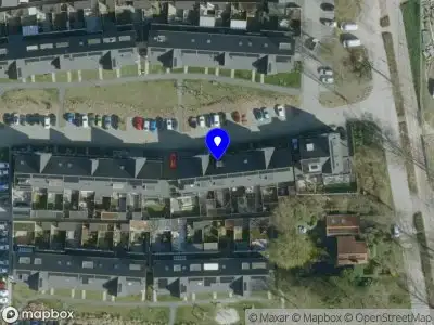 MP Business Management