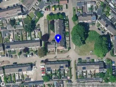 Nieuw bedrijf Jomamu