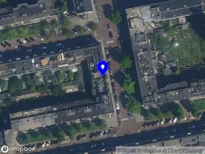 Nieuw bedrijf Antonia Naemi Art Direction