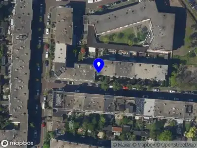 Little Buzz From Japan