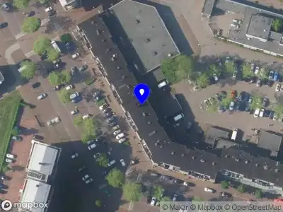 Betti Kattenoppas Almere