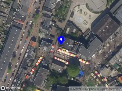 Ola Jedrzejewska Cleaning & Plant works Rotterdam