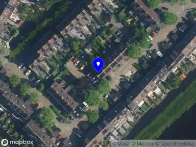 Dahlia Gold / Dahliaonline.nl