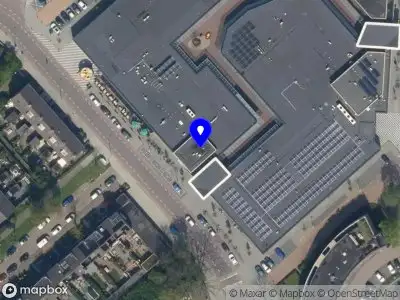 De vier jaargetijden bloemen en lifestyle