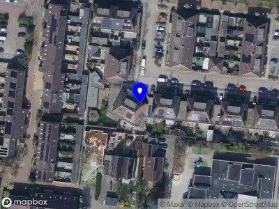 Fragoso`s onderhoud en behang