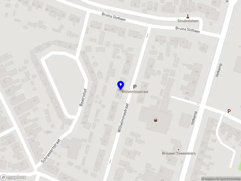 Nieuw bedrijf ThePlug