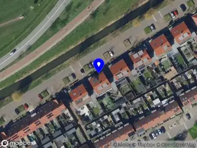 Blue Yellow Caribbean