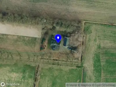 Jewelry for my Pet and Me