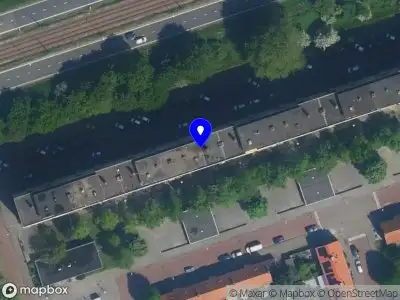 Violareelsguru Amsterdam