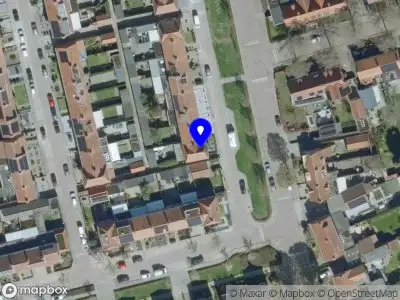 Nikkie Heijnen Coaching