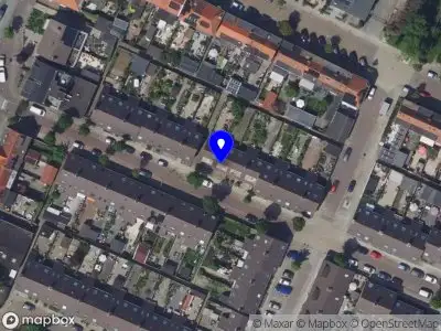 Merlin Paardencoach Zwijndrecht