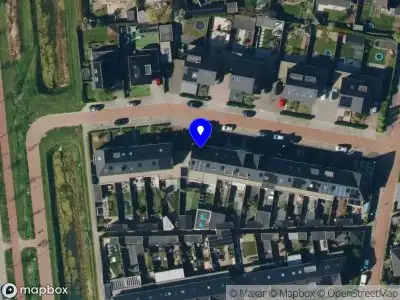 FinenZ Driel