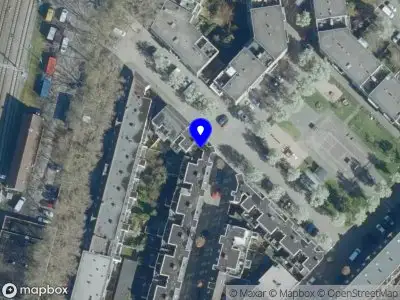 Strawl Original Black Lion