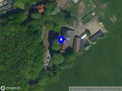 BBQ Beef, Ribs and Fish