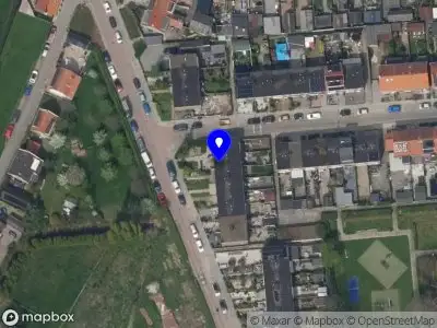 Butterfly coaching voor mens en paard