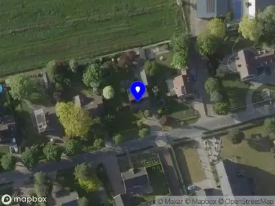 Veerkracht Coaching & Beweging