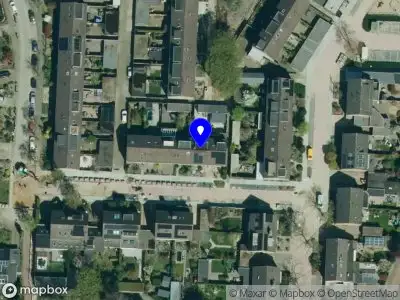 Lou's choice Veenendaal