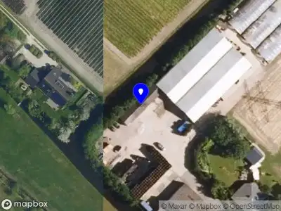 Nieuw bedrijf Dutch Bulbs B.V.