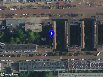 Nieuw bedrijf Daniel Perzhan Violin