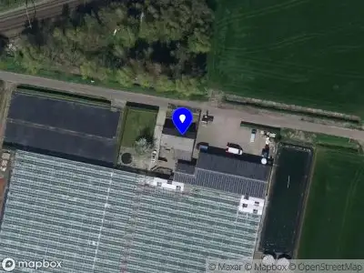 Kwekerij Sevenhill Flowers B.V.