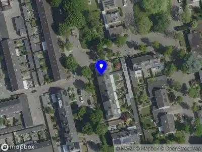 Tielemans Boomverzorging Eindhoven