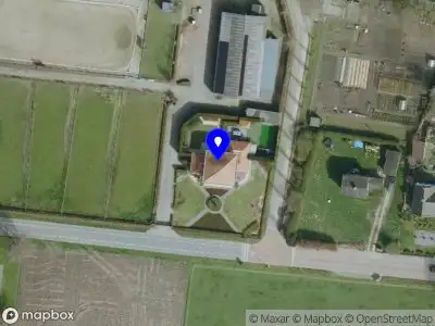 Totaly Green By Helena