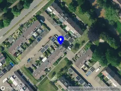 Ion Rosu Inpakkenbedrijf