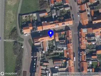 Willem's Groenservice