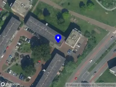 Lion socials marketing