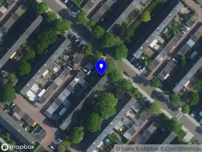 Salam tolk en vertaaldiensten