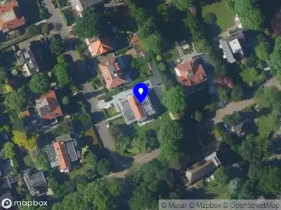 Arvore alta BUSSUM