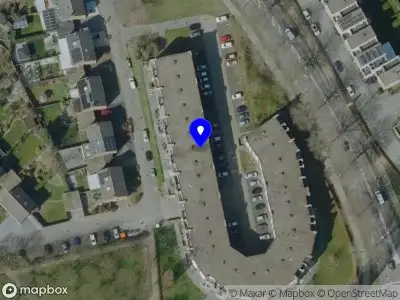 Best Man Hairstylist