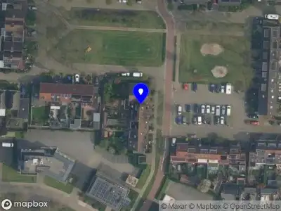 Finneboom Houten
