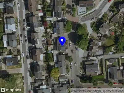 Bonito's Royal Rides