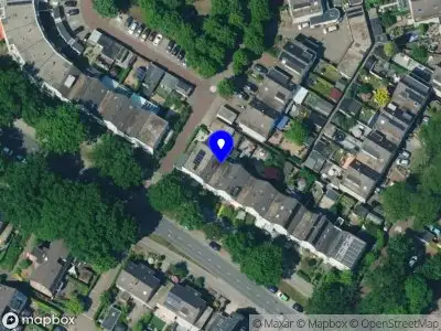 4-hout Apeldoorn