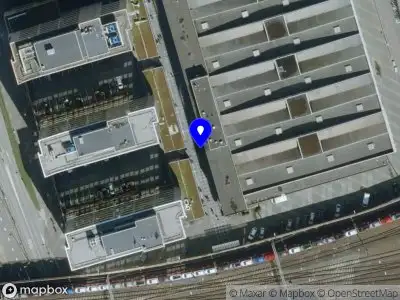 Padel-Fysio Eindhoven