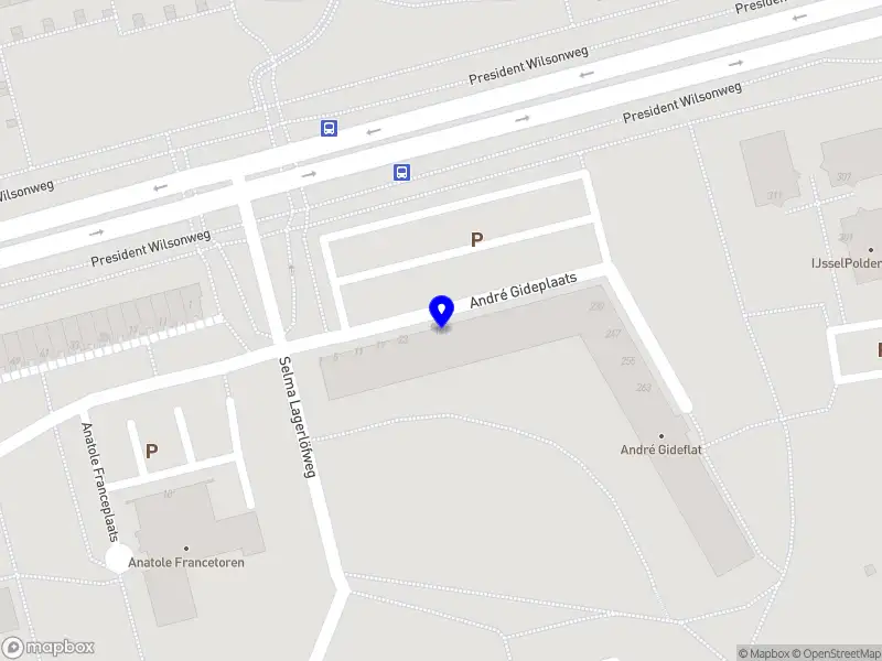 Belle Rose Studio Rotterdam