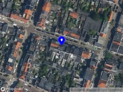 Your Tribe Haarlem