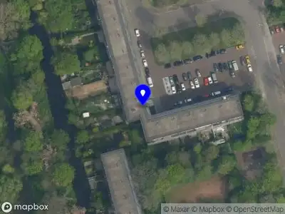 Woestijnroosje Delft